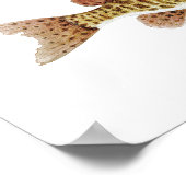 Muskie Art Poster (Ecke)