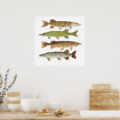 Muskie, Pike, Tiger und Pickerel Poster (Küche)