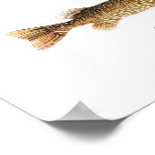 Muskie Print Poster (Ecke)