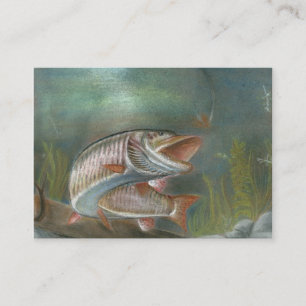 MUSKIE Visitenkarte-Schablone Visitenkarte