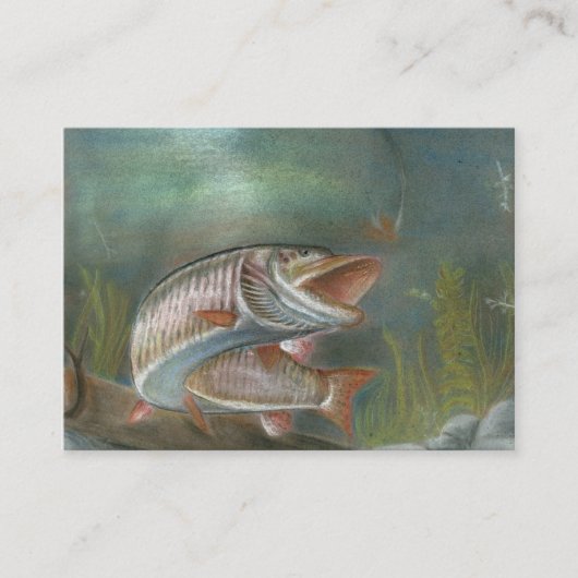 MUSKIE Visitenkarte-Schablone Visitenkarte (Vorderseite)