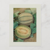 Muskmellon Postkarte (Vorderseite)