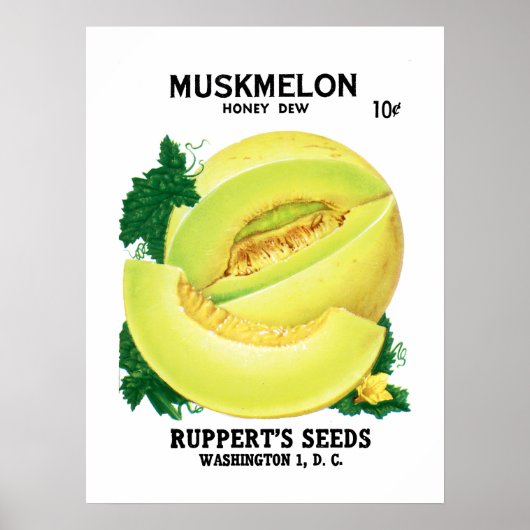 Muskmelon-Saatpacketikett Poster (Vorne)