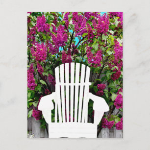 Muskoka/Adirondack-Stühle und Lilac-Postkarte Postkarte