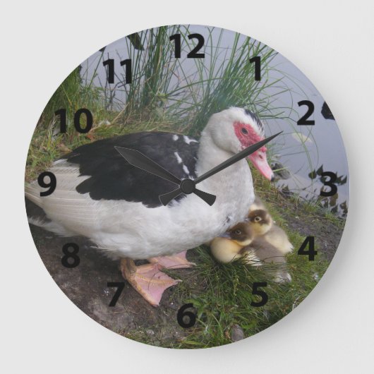Muskovy Duck and Ducklings Clock Große Wanduhr (Vorderseite)