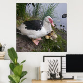 Muskovy Duck and Ducklings Poster (Heimbüro)