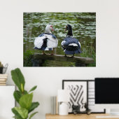 Muskovy Enten auf einem Ornament-Poster sitzen Poster (Heimbüro)