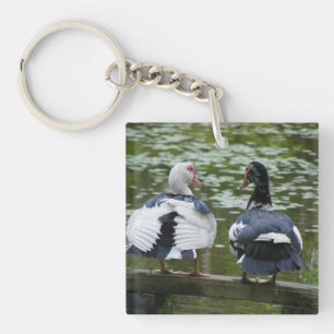 Muskovy Enten auf einem Schlüsselanhänger mit Orna
