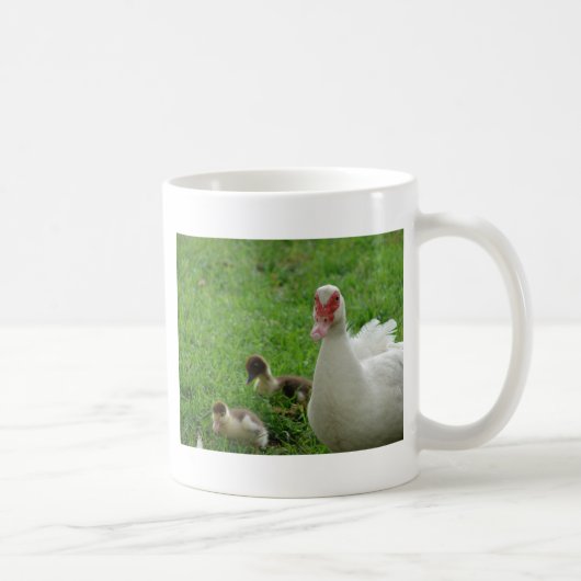Muskovy Hen und Ducklings Kaffeetasse (Rechts)