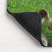 Muskovy Hen und Ducklings Mousepad (Ecke)