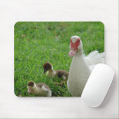 Muskovy Hen und Ducklings Mousepad (Mit Mouse)