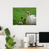 Muskovy Hen und Ducklings Poster (Heimbüro)