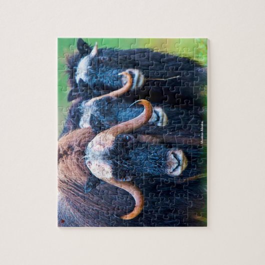 Muskox Alaska Jigsaw Puzzle (Vertikal)
