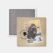 Muskox Briefmarke Souvenir Magnet (Vorderseite/Rückseite)