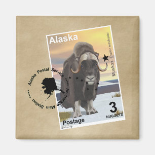 Muskox Briefmarke Souvenir Magnet