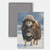 Muskox im Aulavik-Nationalpark Kanada Magnet (Vorderseite/Rückseite)