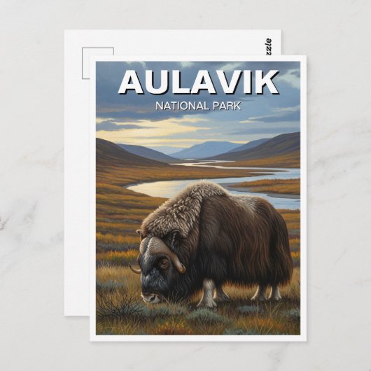 Muskox im Aulavik-Nationalpark Kanada Postkarte (Vorne/Hinten)