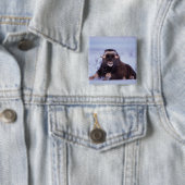 Muskox, Ovibos moschatus, junger Bulle Button (Beispiel)