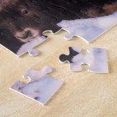 Muskox, Ovibos moschatus, Kuh mit Neugeborenen, Puzzle (Seite)