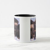 Muskox, Ovibos moschatus, Kuh mit Neugeborenen, Tasse (Zentrum)