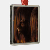 Muskox, Ovibos moschatus, neugeborenes Kalb Ornament Aus Metall (Rechts)