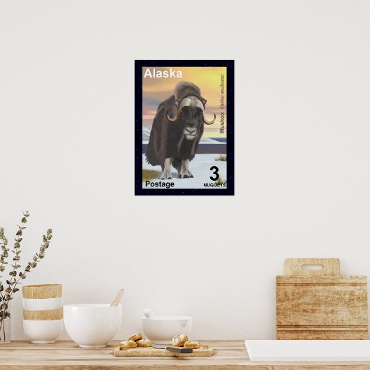 Muskox Poster (Küche)