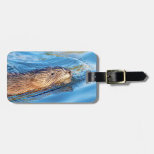 Muskrat in Vassar Farms Ökologische Reserve Gepäckanhänger