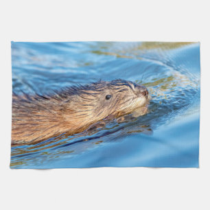 Muskrat in Vassar Farms Ökologische Reserve Handtuch