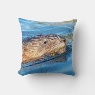 Muskrat in Vassar Farms Ökologische Reserve Kissen
