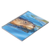 Muskrat in Vassar Farms Ökologische Reserve Notizblock (Linke Seite)