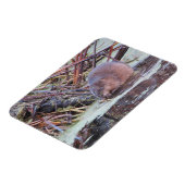 Muskrat Magnet (Linke Seite)