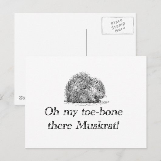 Muskrat | Postkarte (Vorne/Hinten)