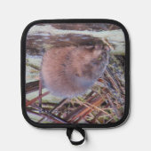 Muskrat Topflappen (Vorderseite)