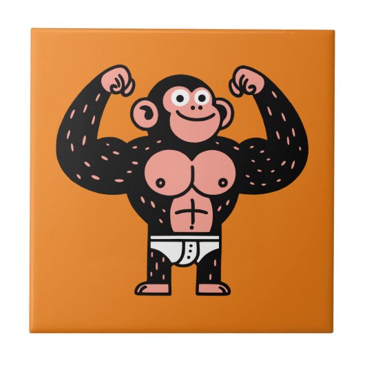 Muskulatur Fliese (Vorderseite)