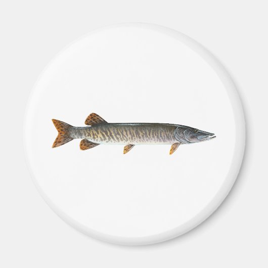 Musky - Muskellunge Magnet (Vorne)