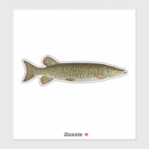 Musky - Süßwasserfischerei