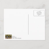 Muss gehen postkarte (Rückseite)