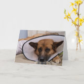 "Muss ich dieses tragen? " Karte (Gelbe Blume)