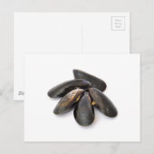 Mussel Postkarte (Vorne/Hinten)