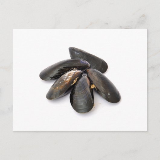 Mussel Postkarte (Vorderseite)