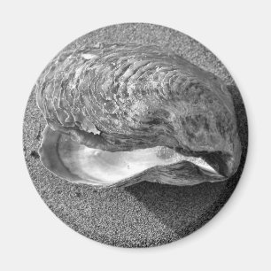 Mussel Seashell Sand Beach Magnet