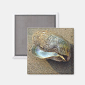 Mussel Seashell Sand Beach Magnet (Vorderseite/Rückseite)