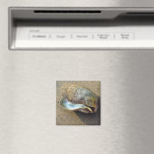 Mussel Seashell Sand Beach Magnet (In Situ (Geschirrspüler))