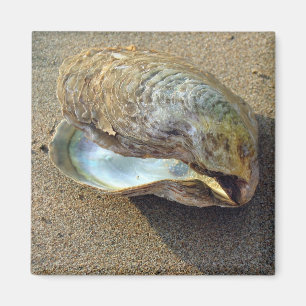 Mussel Seashell Sand Beach Magnet