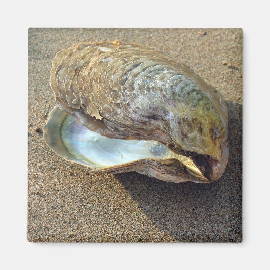 Mussel Seashell Sand Beach Magnet (Vorne)