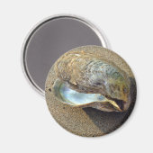 Mussel Seashell Sand Beach Magnet (Vorderseite/Rückseite)