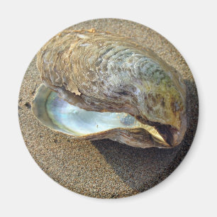 Mussel Seashell Sand Beach Magnet