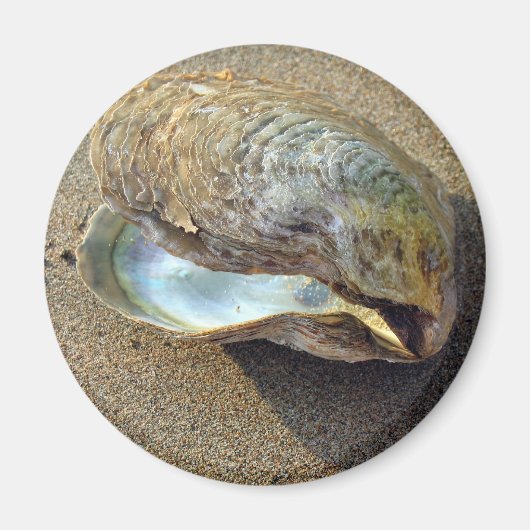 Mussel Seashell Sand Beach Magnet (Vorne)