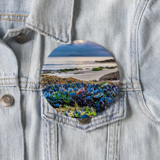 Mussels Button (Beispiel)