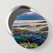 Mussels Button (Vorne & Hinten)